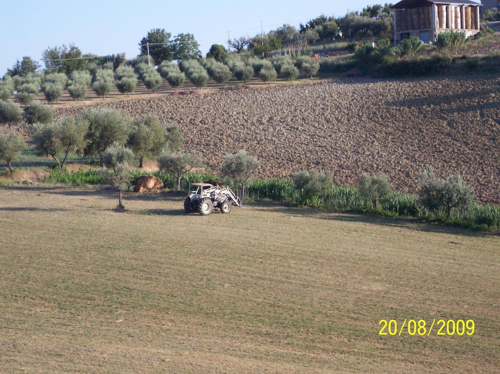 Agriturismo Il Vecchio Carro Campli Екстериор снимка